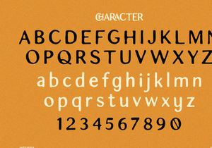Antichona - Rough Sans Font