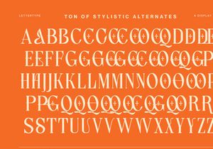 Lettertype – Editorial 90s Serif Font with Alternates