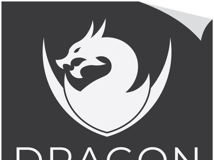 Dragon logo art illustration