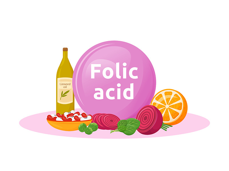 Products rich of folic acid cartoon vector illustration