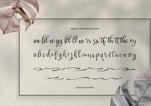 Cafricot Lissendra | Script Handwritten