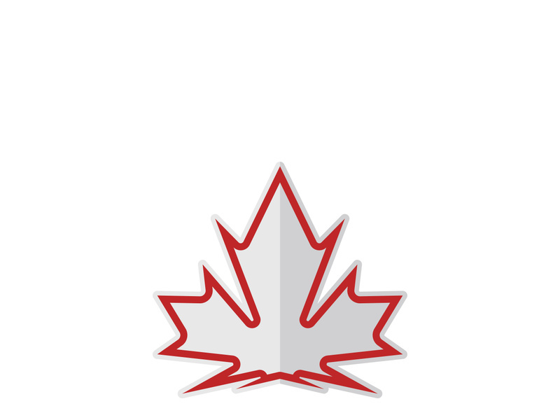 Maple leaf vector illustration design template