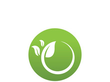 Logos of green Tree leaf ecology nature element vector