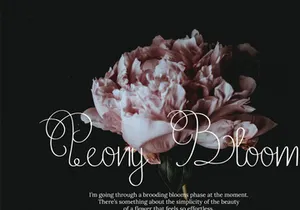 Delicate Curly Hand Writing