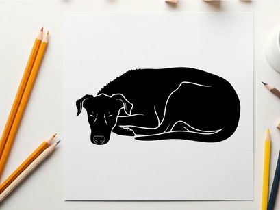 Silhouette of a sleeping dog curled up in a ball