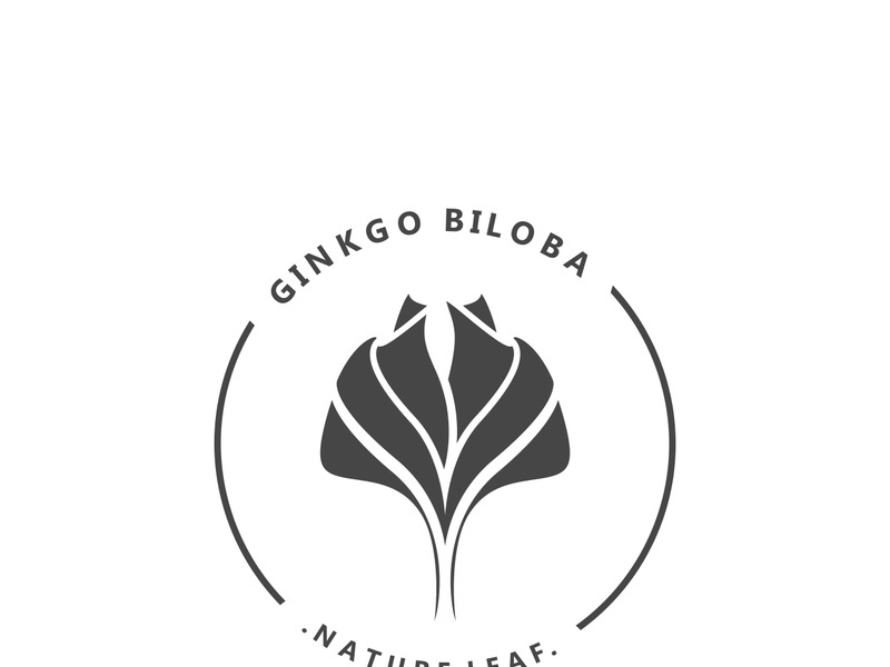 Ginkgo leaf biloba logo nature. Healthy ingredient that is used in medicine for disease treatment with line art style design