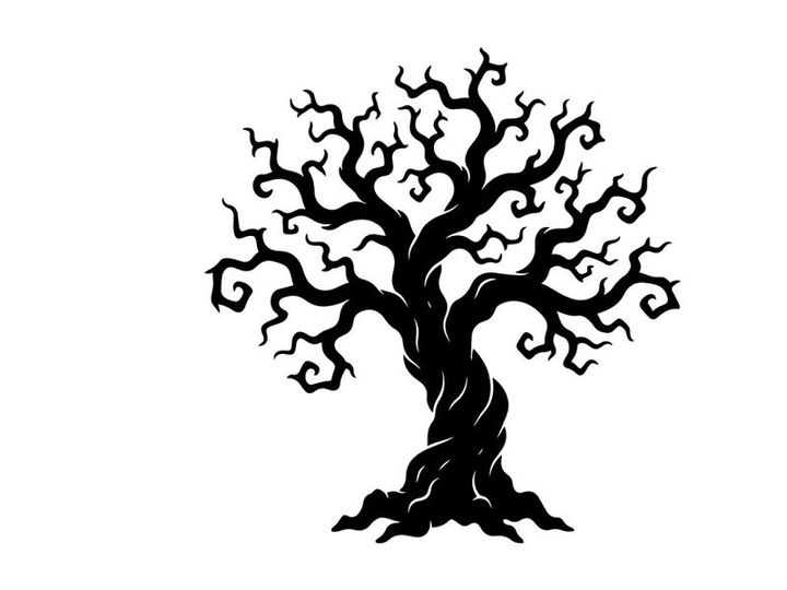 Silhouette of a leafless, twisted tree with gnarled branches