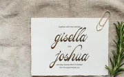 Pitholica Delicate | Classic Elegant Script