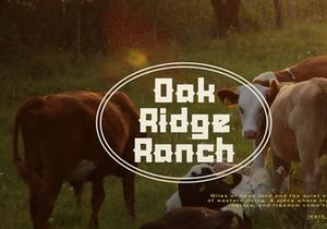 Lanarei | Western Slab Serif