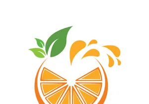 Orange logo design vector icon illustration