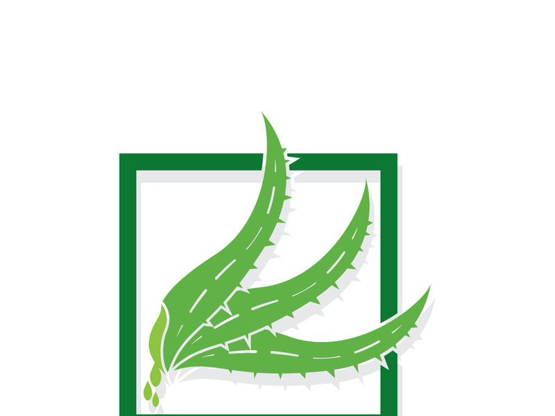 Aloe Vera logo icon design symbol beauty skin care