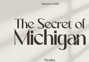 Swanley - Sans Serif Font