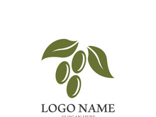 olive icon vector illustration design template