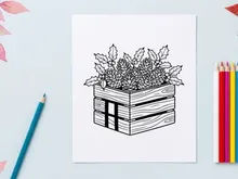 Christmas wooden crate with pine cones and holly leaves line art illustration