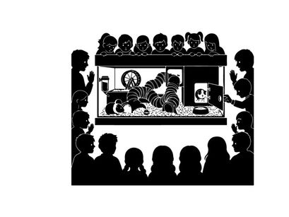 Silhouette of people watching a tiger in a glass box exhibit