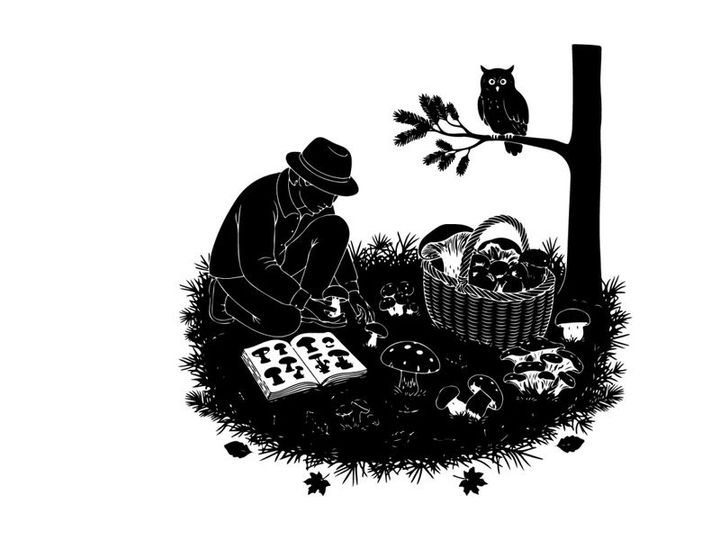 Man in silhouette plays chess outdoors under owl's watchful eye at night