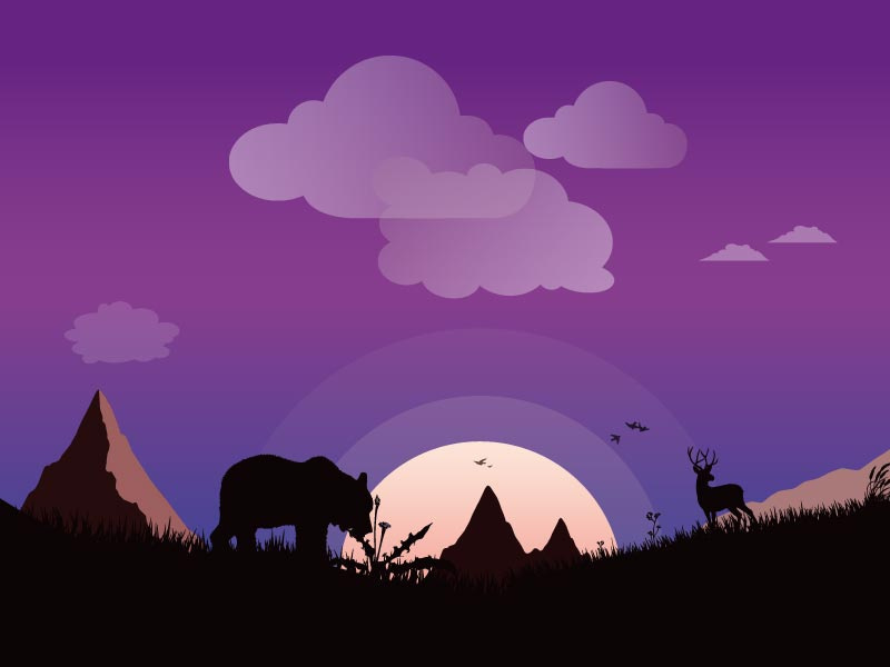 Forest night illustration with animals and hills