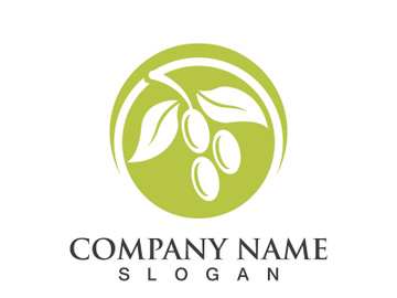 Extra virgin olive oil logo icon design vector illustration preview picture