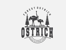 Ostrich Logo Design, Desert Animal Illustration