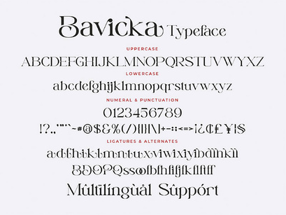 Bavicka Stylish Ligature Serif Font