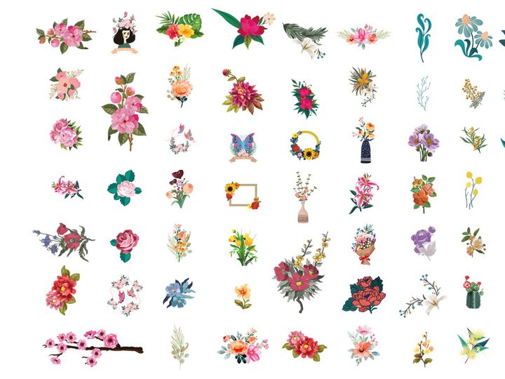 Vector Flower Watercolor Illustration
