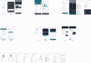 Smartpay Fintech App iOS UI Kit