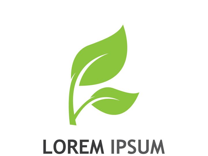 Natural green leaf logo design.