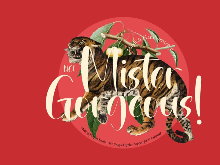 NCL MISTER GORGEOUS - Retro Script Handwritten Font