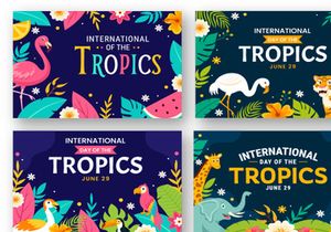 12 Day of the Tropics Illustration