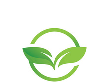 Green leaf logo design template modern leaf logo vector