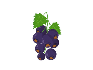 Black currant cartoon vector illustration preview picture
