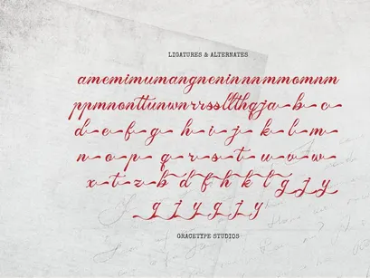 Tanya Kata | Handwritten Script