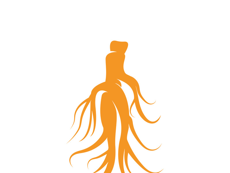 Ginseng logo design template and symbol icon vector illustration