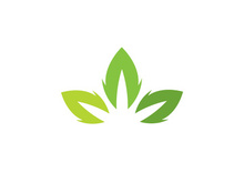 Green leaf logo  Nature icon design
