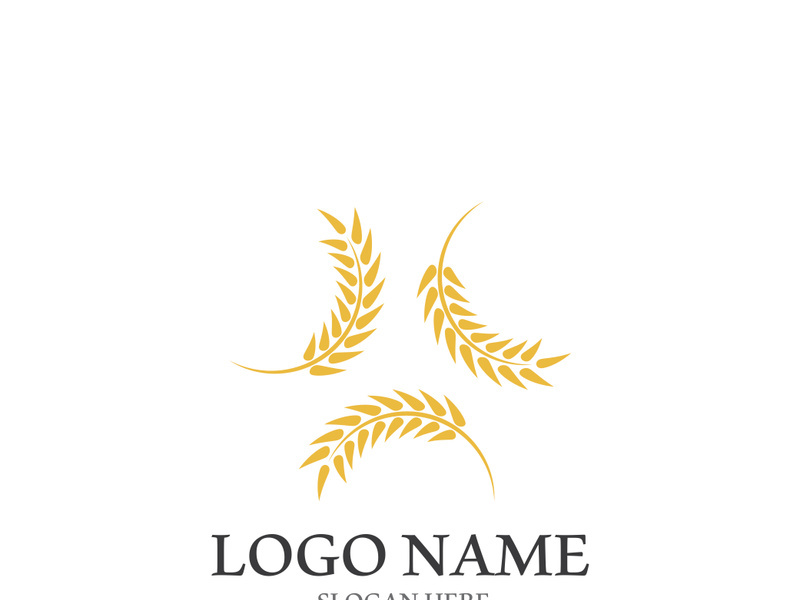 Wheat logo vector icon illustration design