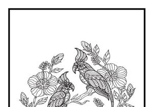 6 Birds Coloring Book Pages KDP Interior.