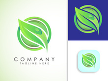 Leaf icon sign symbol, Gradient green leaf, Organic logo design vector illustration