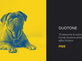 Duotone Photoshop Actions preview picture