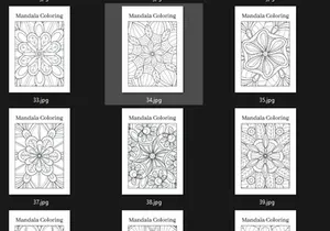 Mandala Coloring Book: For Adults with Beautiful Patterns for Fun and Relaxation