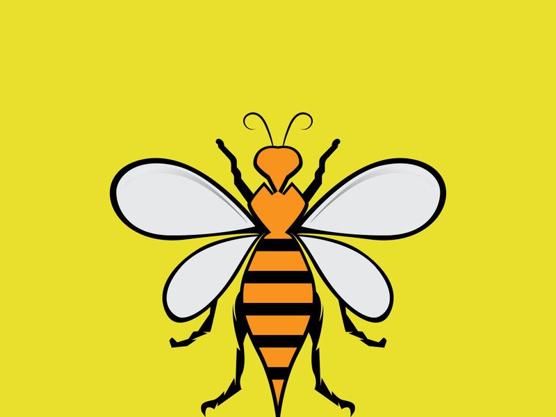 Bee Logo Template vector icon illustration design