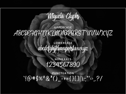 Miguela Free Script Font