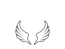 wing Logo Template vector illustration design