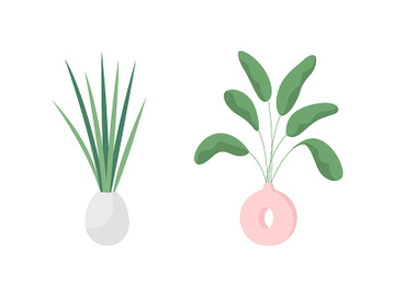 Indoor plant flat color vector object set preview picture