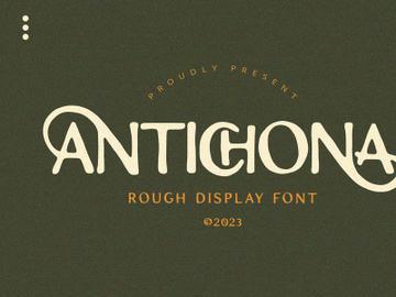 Antichona - Rough Sans Font preview picture