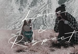 Briquete | Natural Brush Font