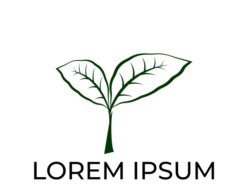 Green leaf logo design vector illustration