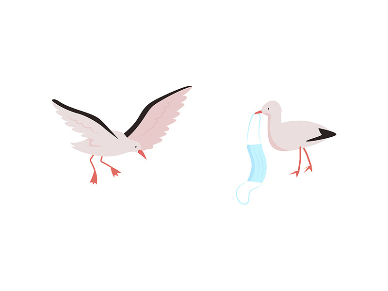Birds flat color vector character set