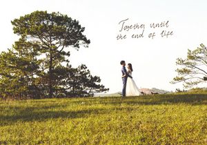 Wedding Song
