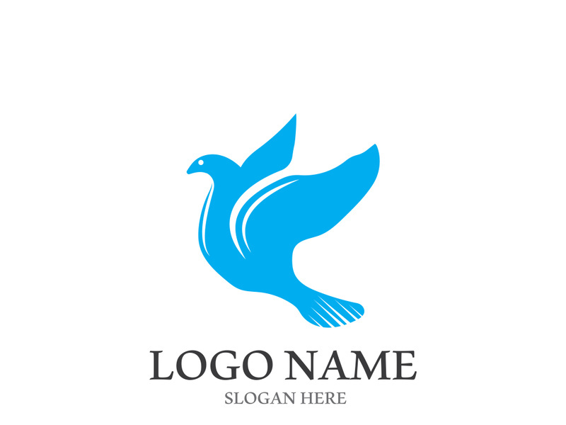 Dove bird logo vector design illustration