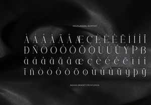Trailogen | Display Serif Font